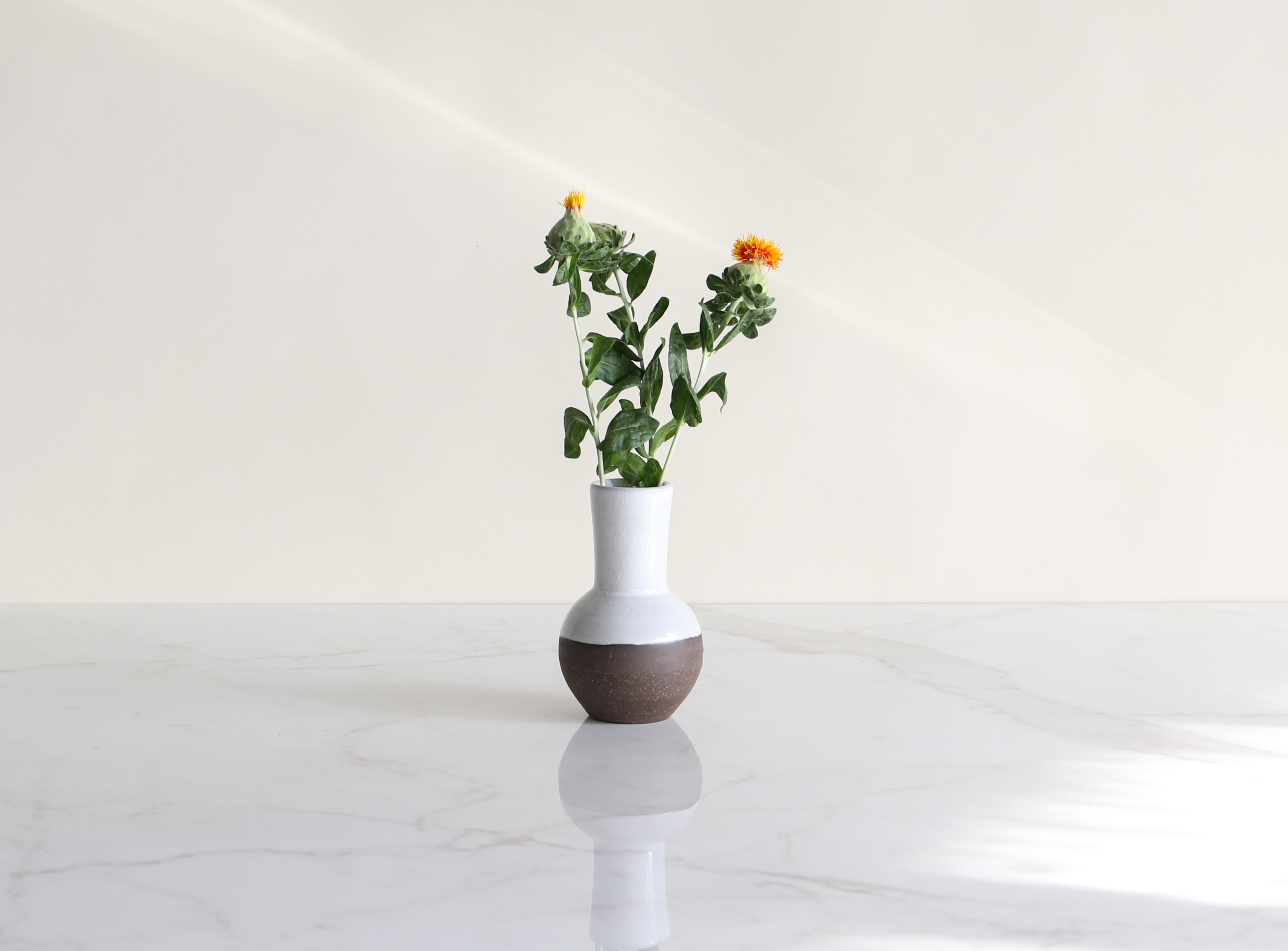 Long Bud Vase – Jono Pandolfi Designs