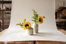 Load image into Gallery viewer, The Museum Bud Vases
